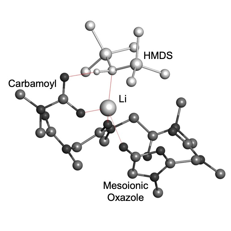 La réaction au moment où le LiHMDS permet aux monomères de former des polymères cycliques. © Salas-Ambrosio et al.