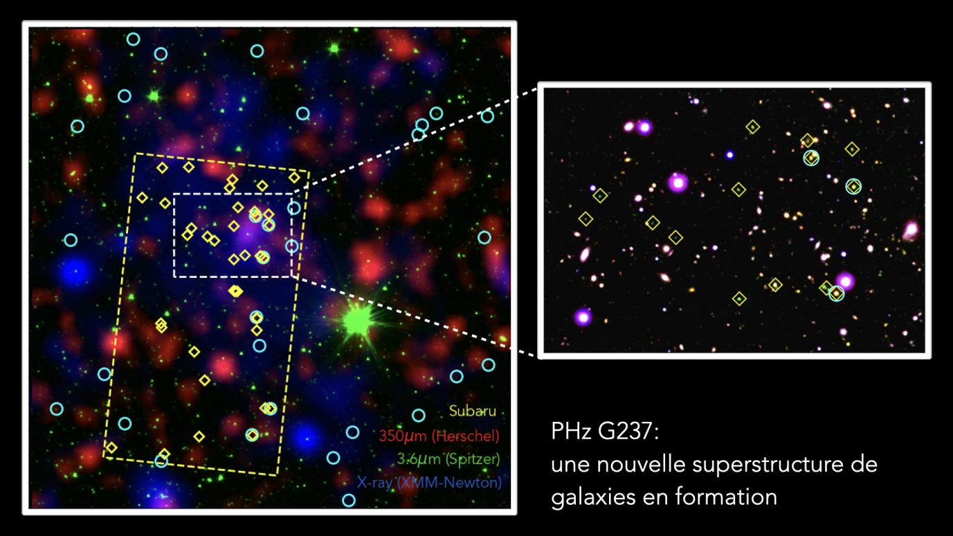 Région du ciel montrant le proto-amas de galaxies G237 lorsque l’univers était âgé d’environ 3 milliards d’années. © ESA/Herschel and XMM-Newton ; NASA/Spitzer ; NAOJ/Subaru ; Large Binocular Telescope ; ESO/VISTA ; Polletta et al. 2021 ; Koyama et al. 2021.