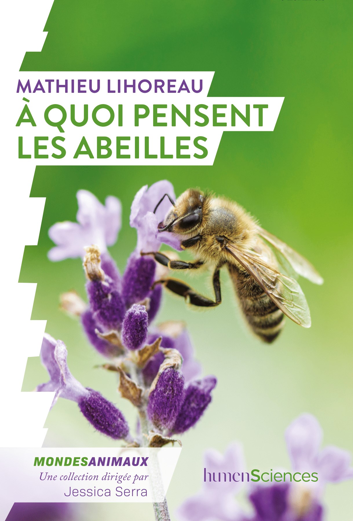 Couverture À quoi pensent les abeilles