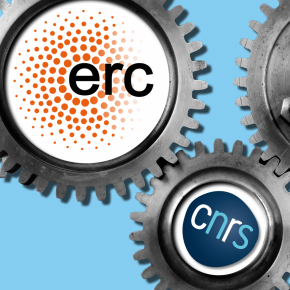 ERC