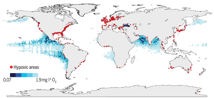 Désoxygénation océanique : un phénomène global accentué en milieu côtier