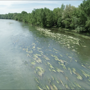 L’intelligence artificielle pour cartographier la végétation aquatique des rivières à partir d’images satellites