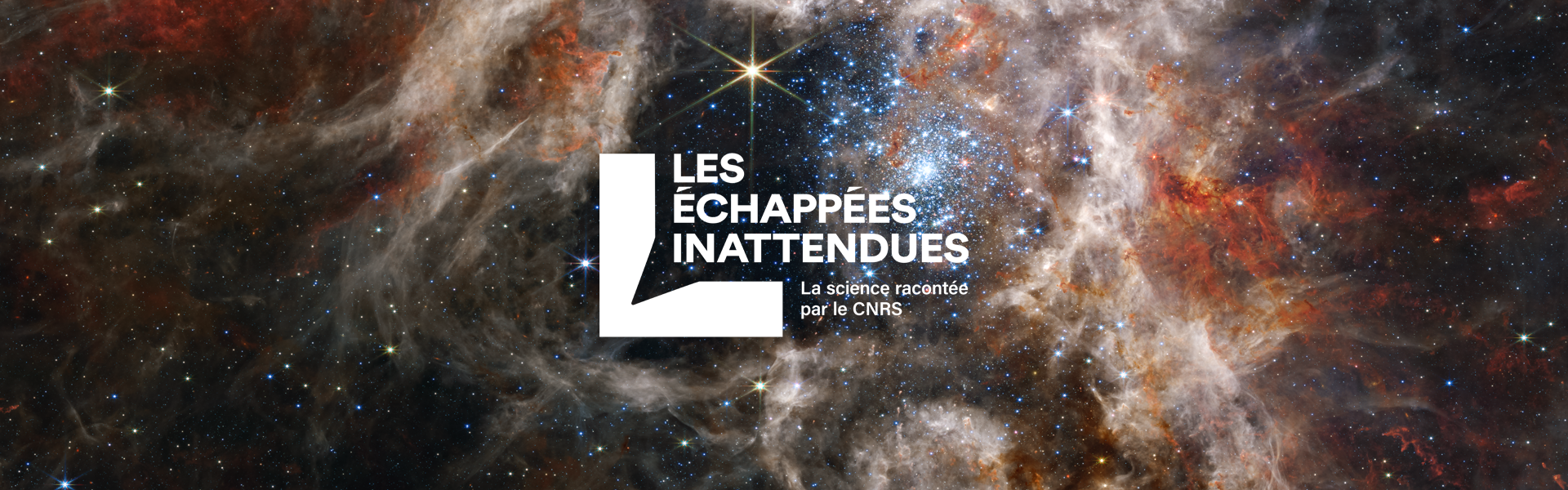 Les échappées inattendues