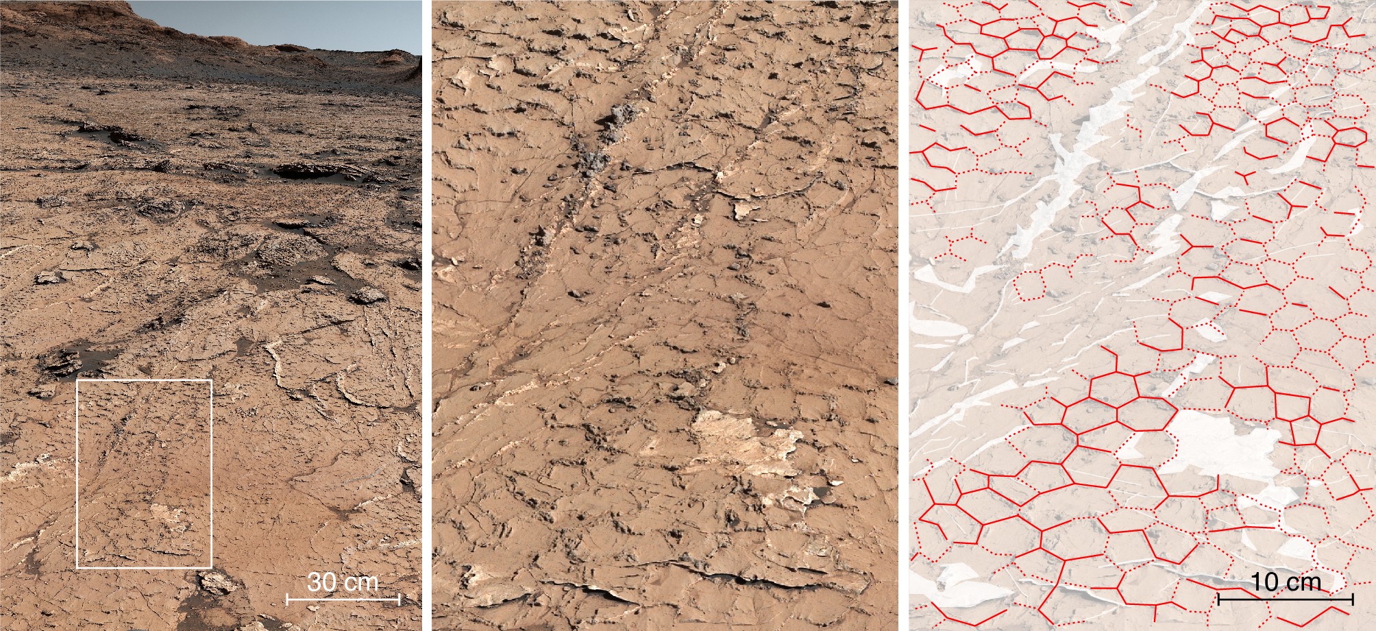 Motif fossile hexagonal dans les roches sédimentaires analysées par Curiosity au 3154e jour de sa progression dans le cratère de Gale sur Mars.  © NASA/JPL-Caltech/MSSS/IRAP/Rapin et al./Nature