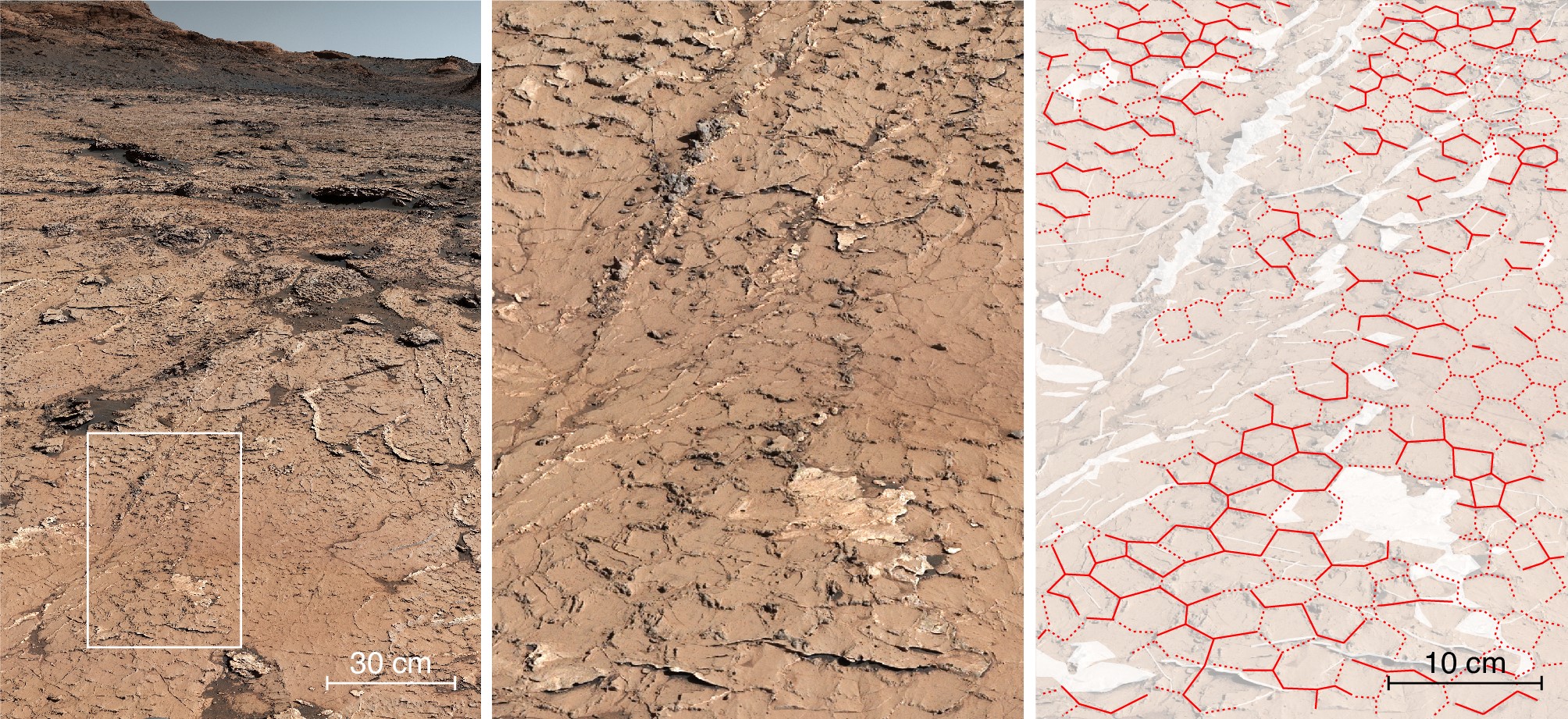 Motif fossile hexagonal dans les roches sédimentaires analysées par Curiosity au 3154e jour de sa progression dans le cratère de Gale sur Mars. © NASA/JPL-Caltech/MSSS/IRAP/Rapin et al./Nature