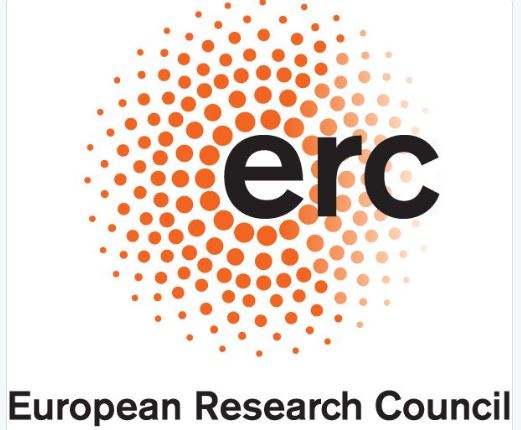 ERC Synergy 2020