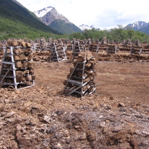 Les réserves en carbone des tourbières ne peuvent plus être ignorées