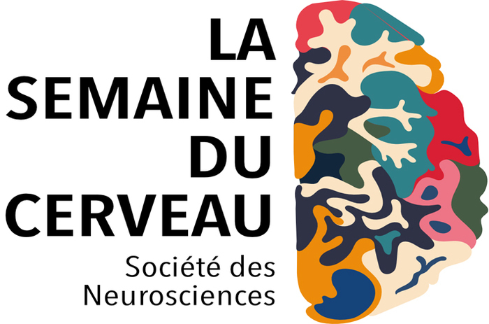 semaine cerveau